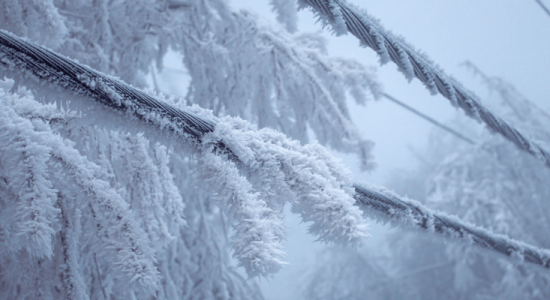 иней и изморозь